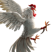 ไก่ชน